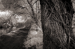 Canal Pathway